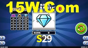 S29